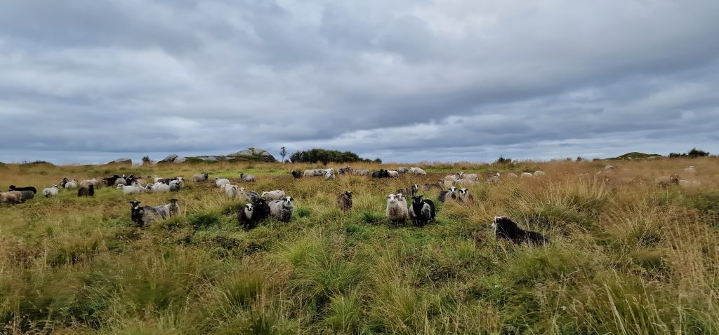 Restaureringsarbeid i full gang i oktober 2023